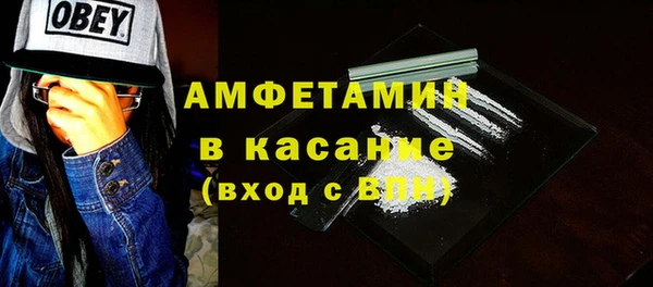 индика Абаза