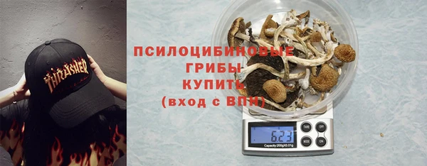 индика Абаза