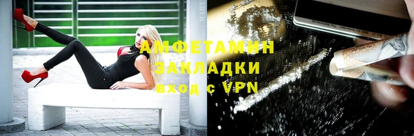 индика Абаза