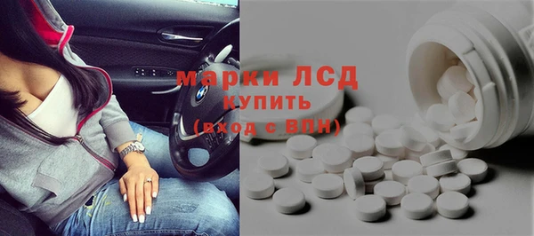 индика Абаза