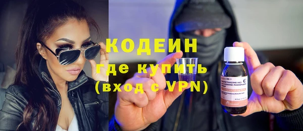 индика Абаза