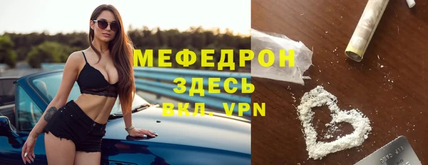 индика Абаза