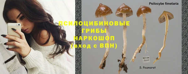 индика Абаза