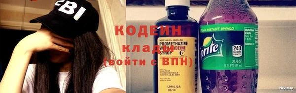 индика Абаза