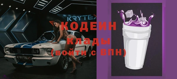 индика Абаза