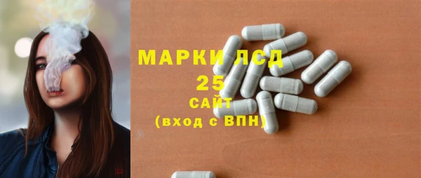 индика Абаза