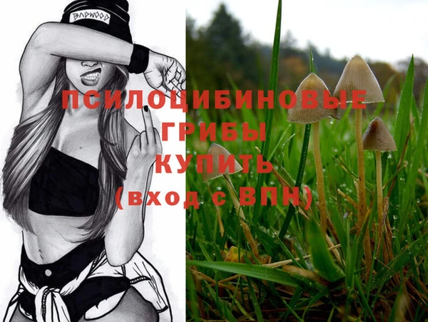 шишки Абдулино