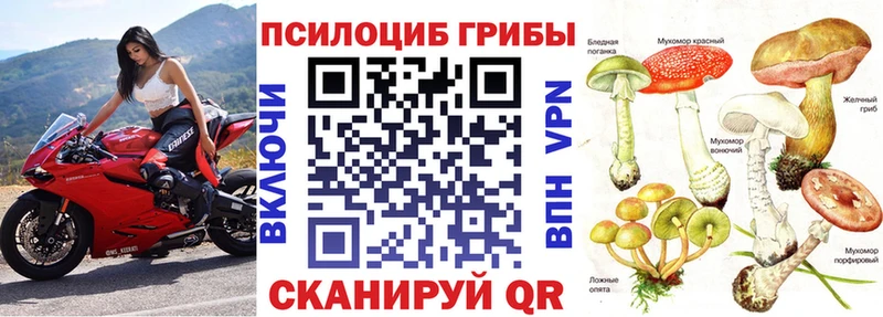 Псилоцибиновые грибы MAGIC MUSHROOMS  Тайга 